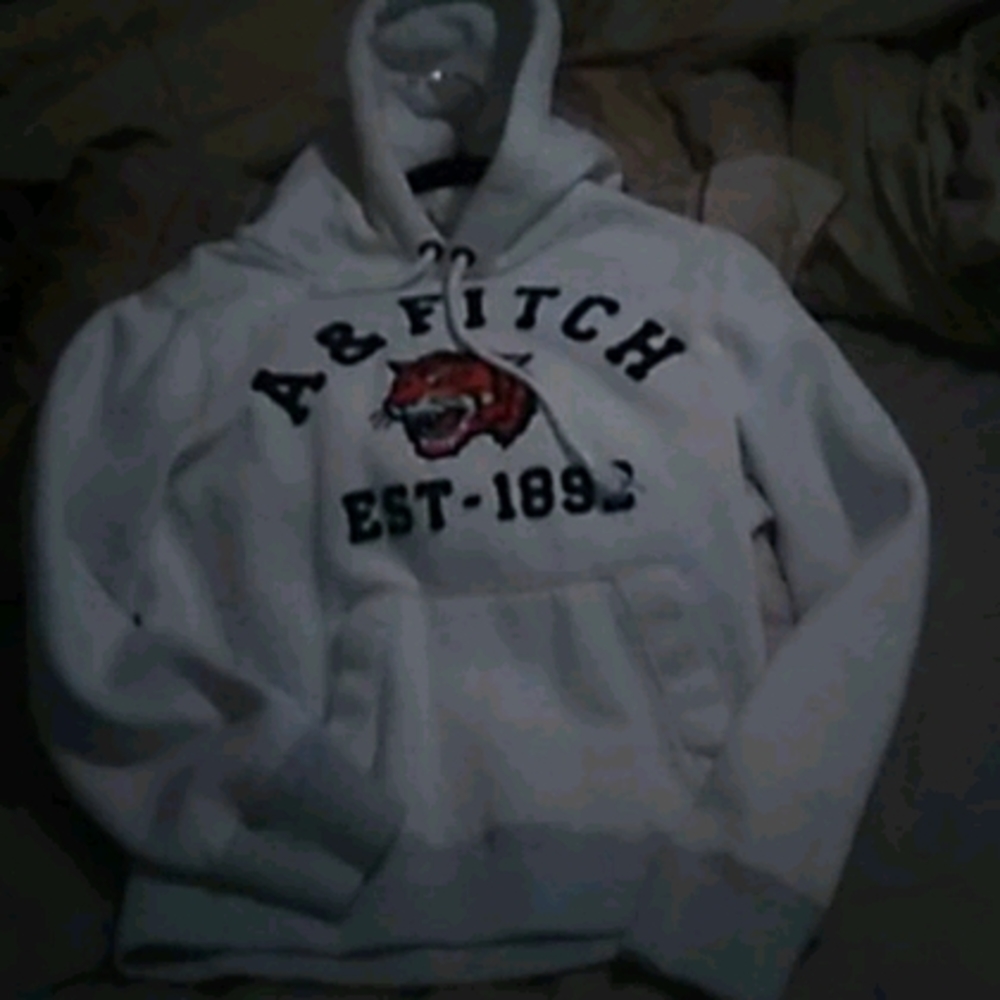 Abercrombie and Fitch Hoody